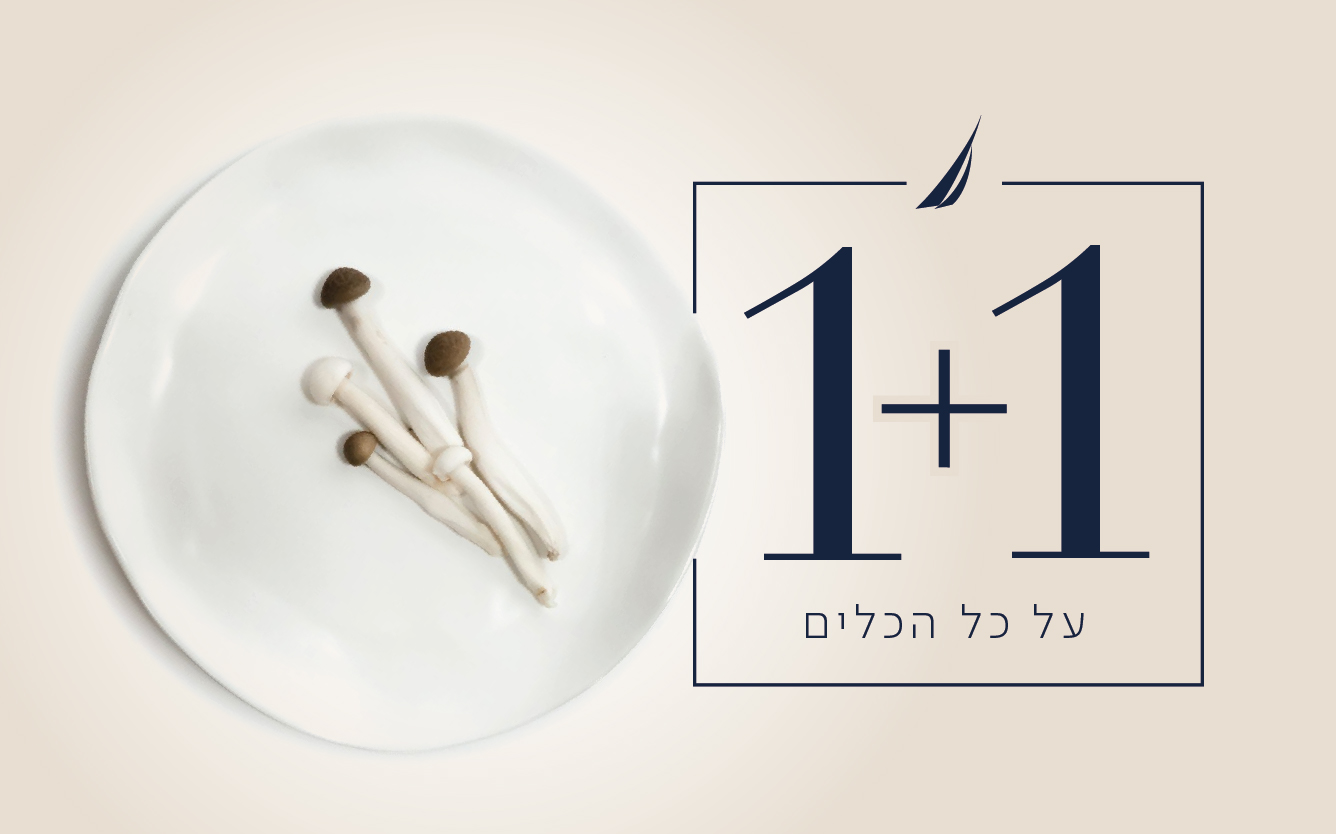 1+1 על קטגוריית אמבטיה וכלי הגשה ואירוח